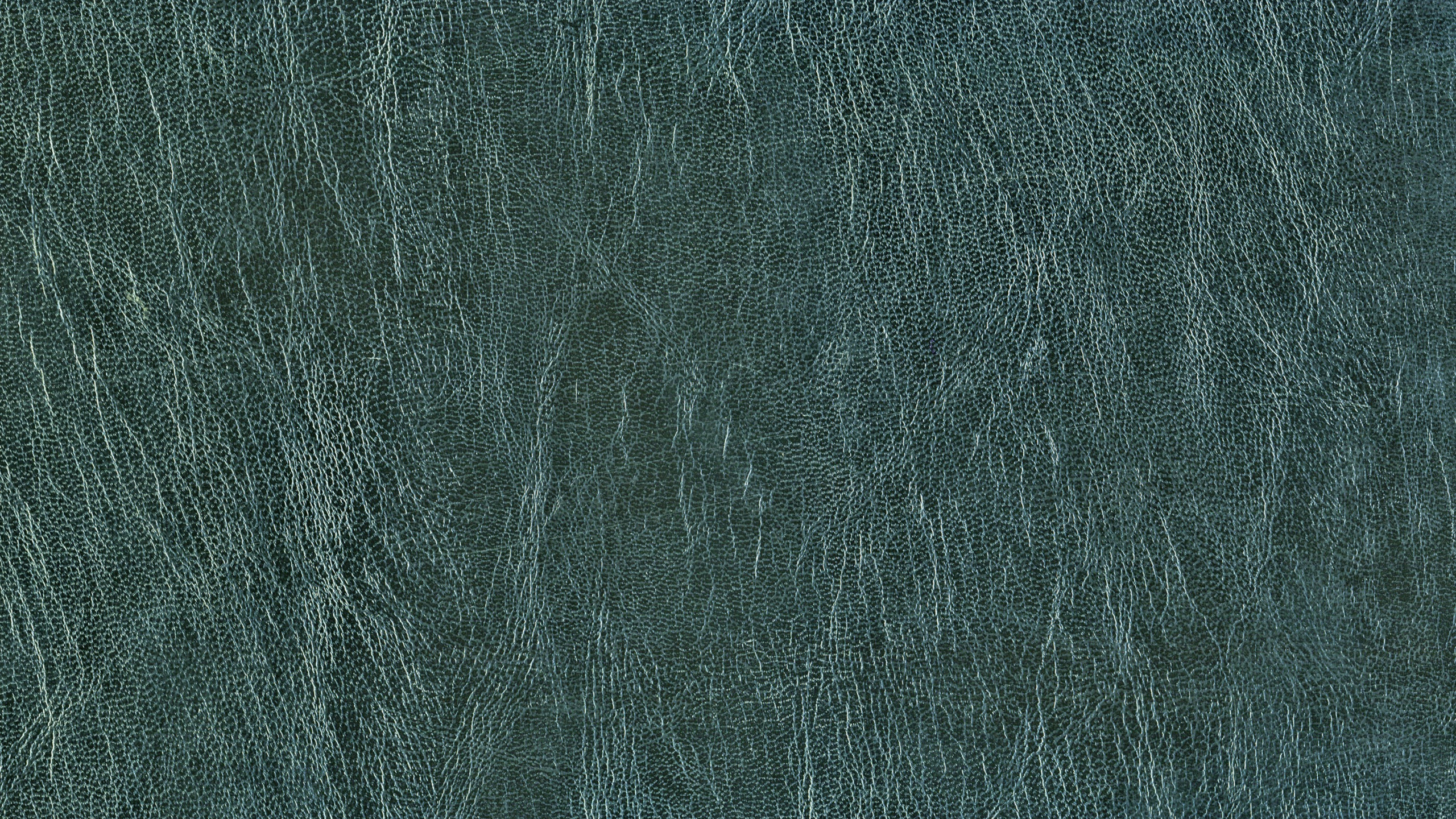 Обои текстура, зеленый, синий, бирюза, чирок в разрешении 2560x1440