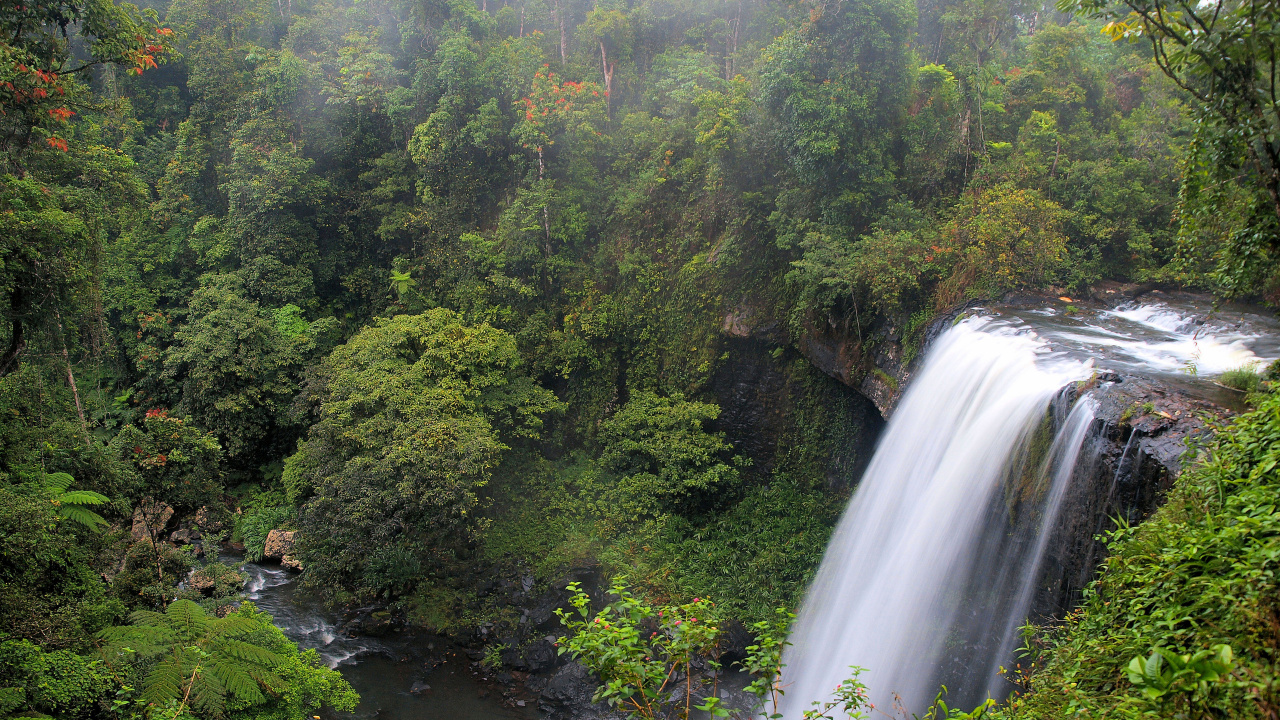 Обои zillie падает, водопад, гидроресурсы, растительность, водоем в разрешении 1280x720