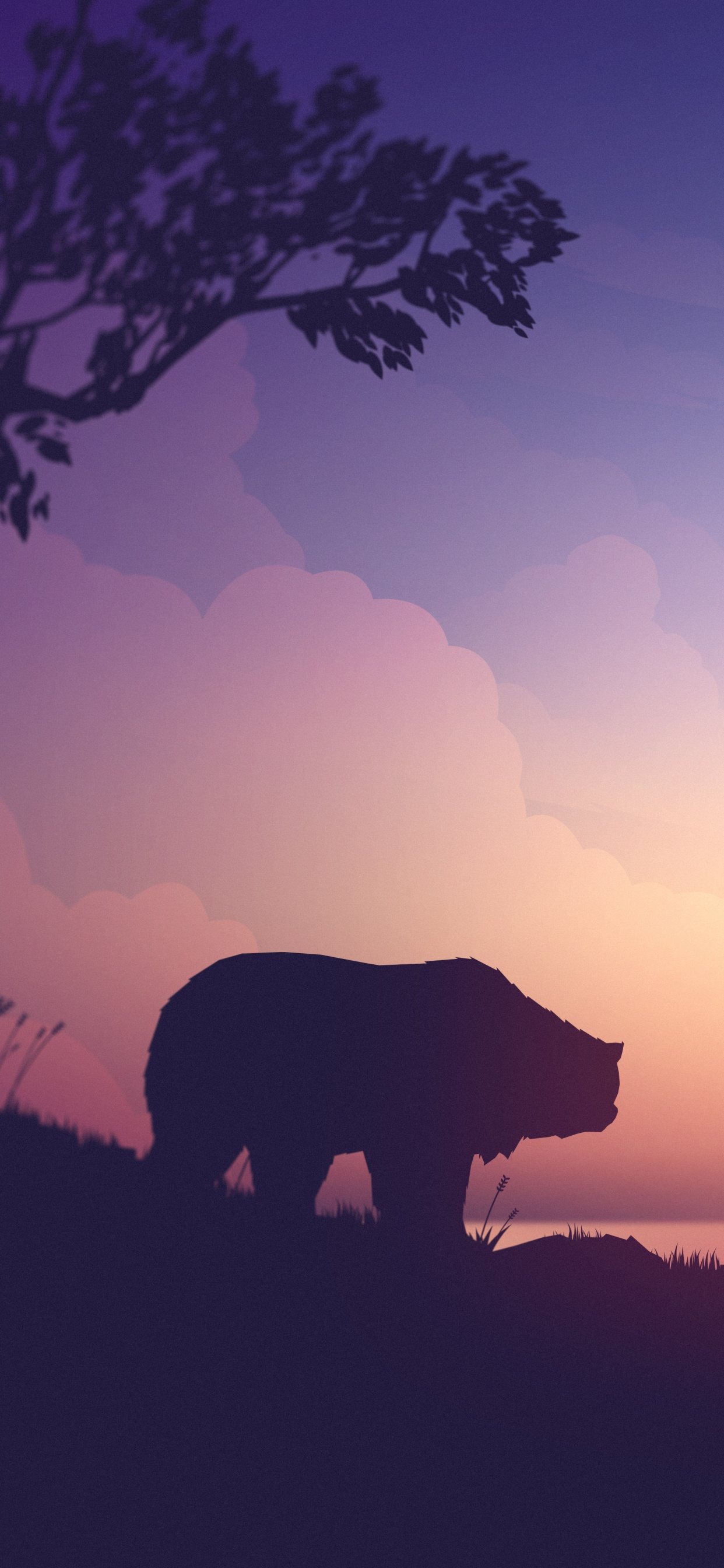 Обои восход солнца, послесвечение, облако, природный ландшафт, утро в разрешении 1242x2688