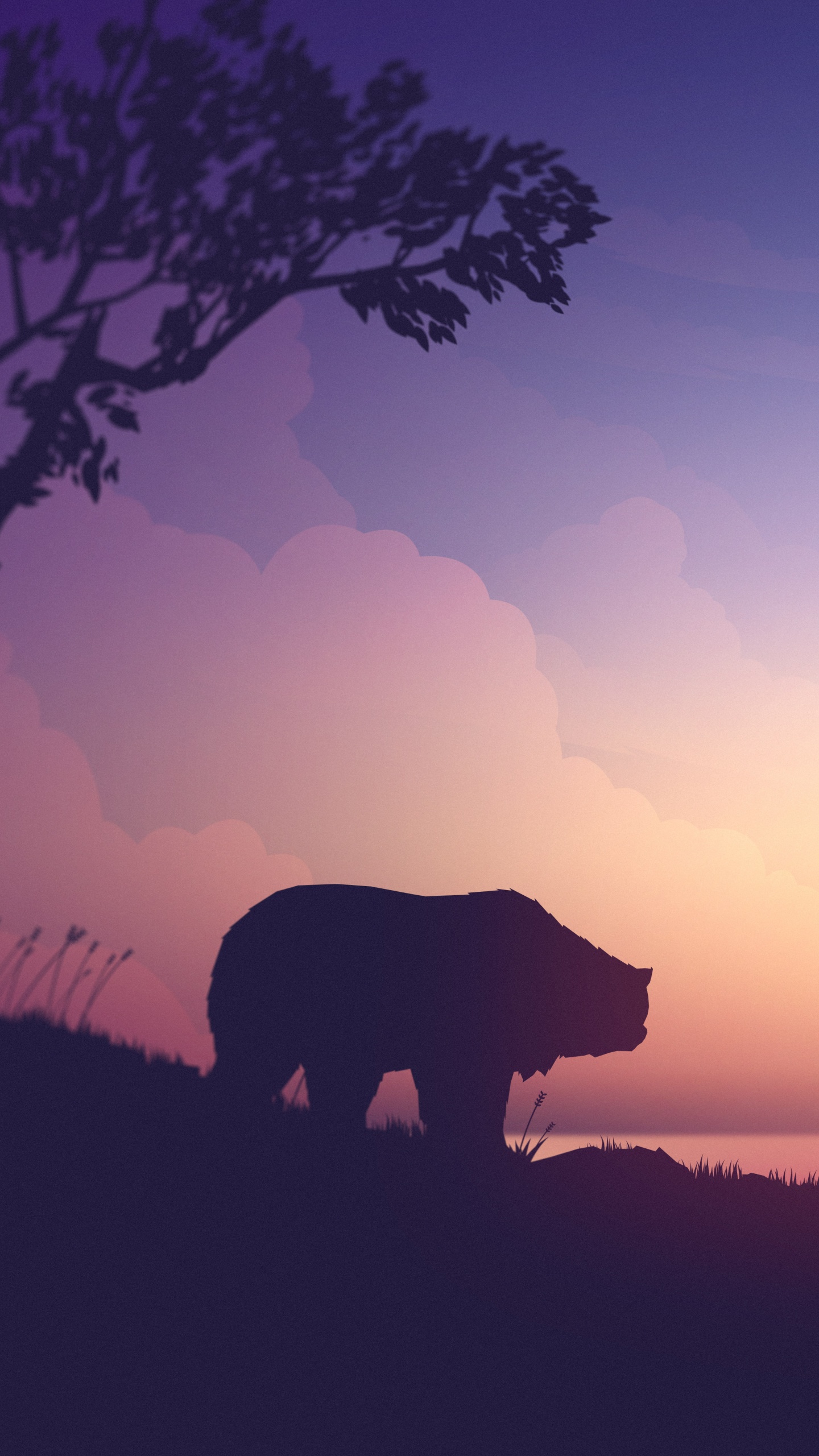 Обои восход солнца, послесвечение, облако, природный ландшафт, утро в разрешении 1440x2560