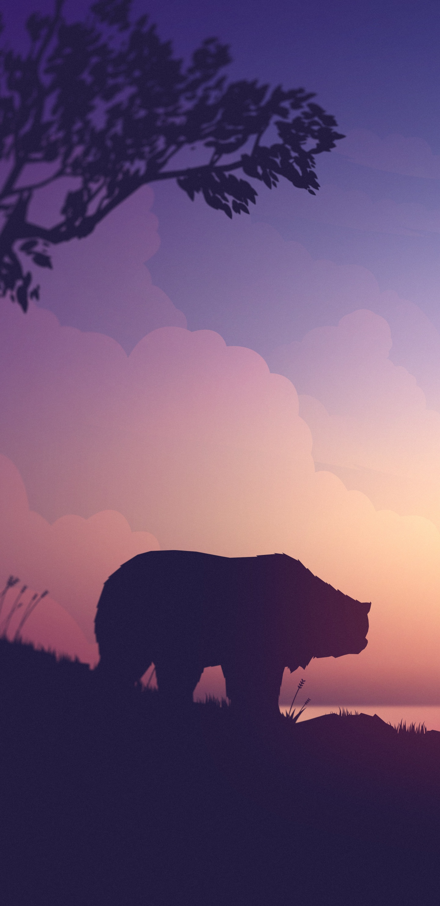 Обои восход солнца, послесвечение, облако, природный ландшафт, утро в разрешении 1440x2960