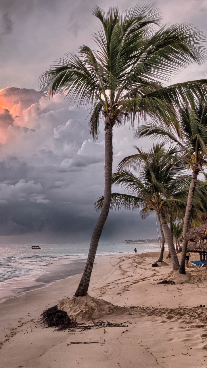 Обои Пунта-Кана, пляж, тропическая зона, океан, берег в разрешении 720x1280