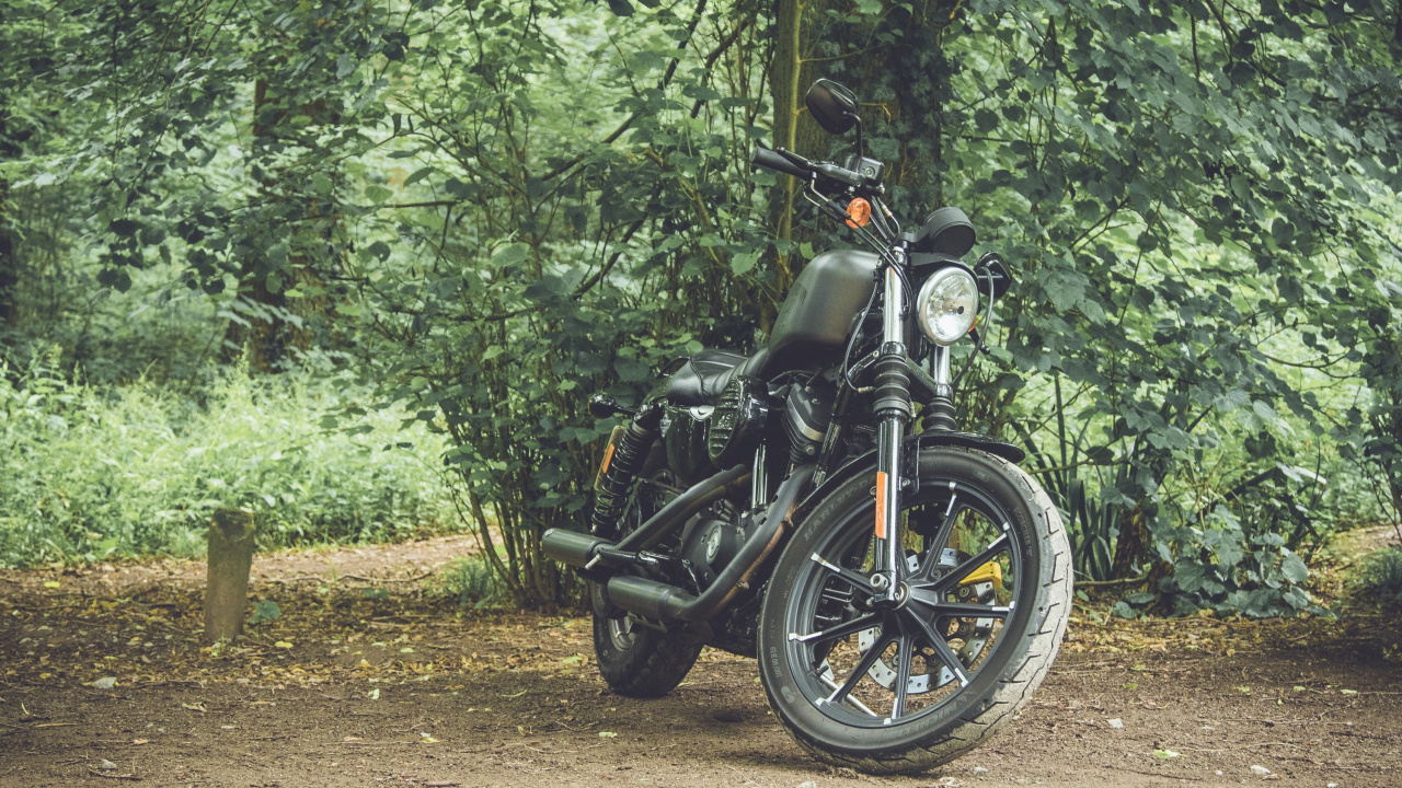 Обои мотоцикл, джунгли, дерево, грунтовая дорога, автомобильные шины в разрешении 1280x720