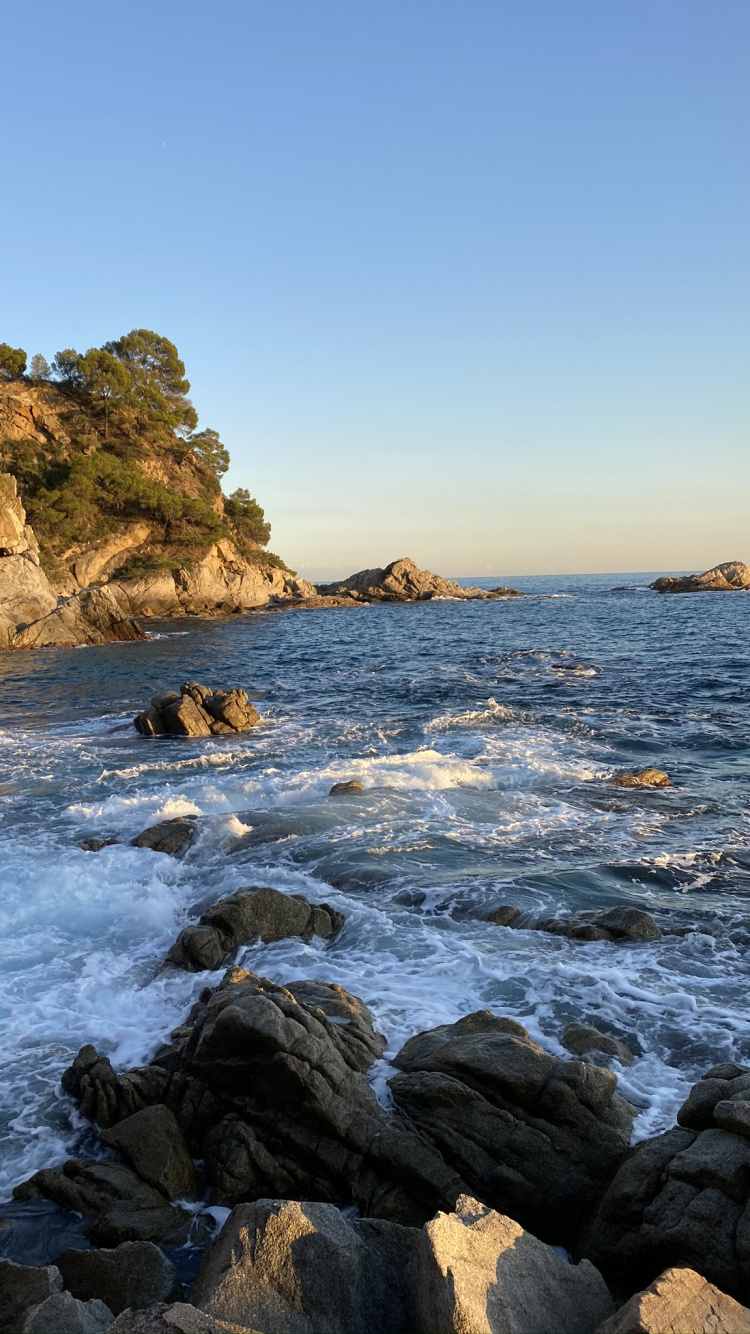 Обои море, побережье, вода, мыс, физика в разрешении 750x1334