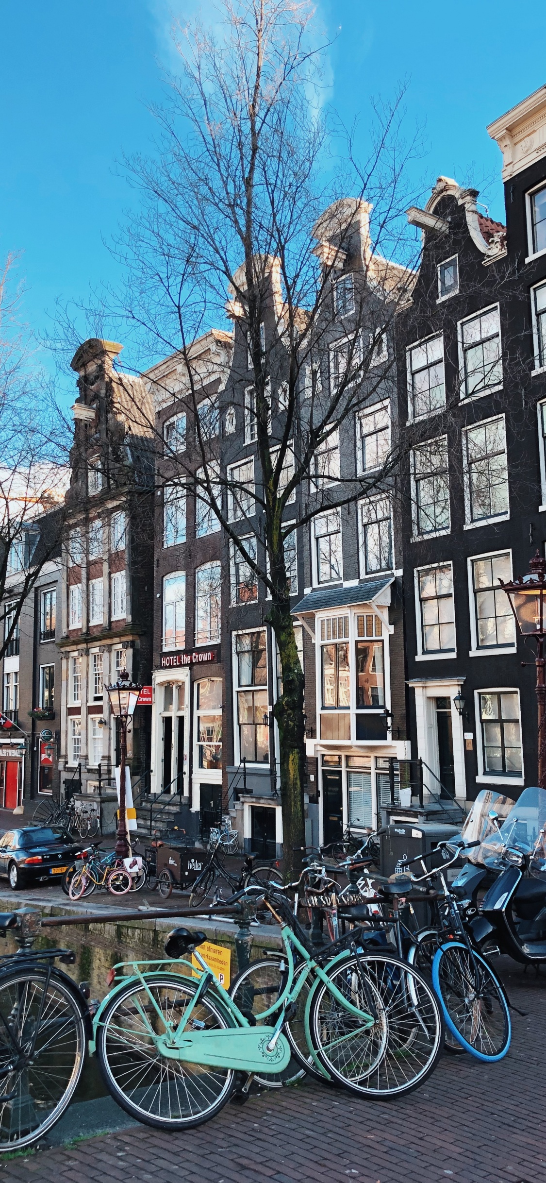 Обои дерево, велосипед, соседство, водный путь, городок в разрешении 1125x2436