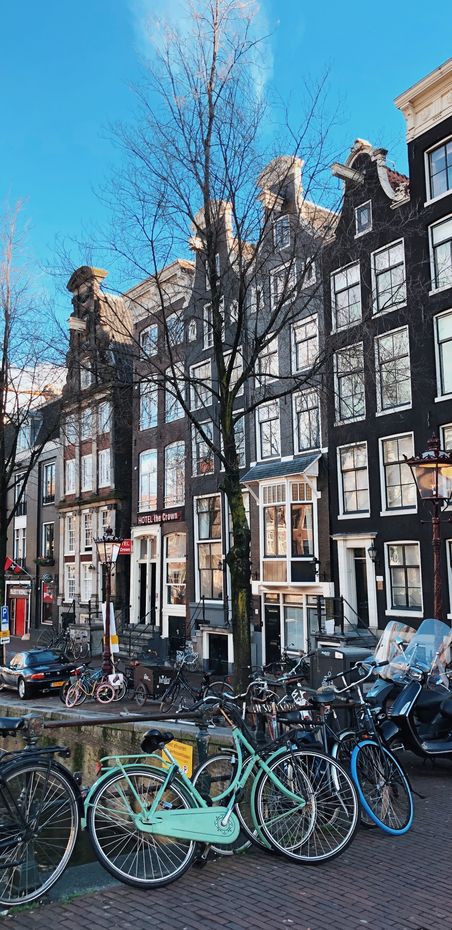 Обои дерево, велосипед, соседство, водный путь, городок в разрешении 1440x2960