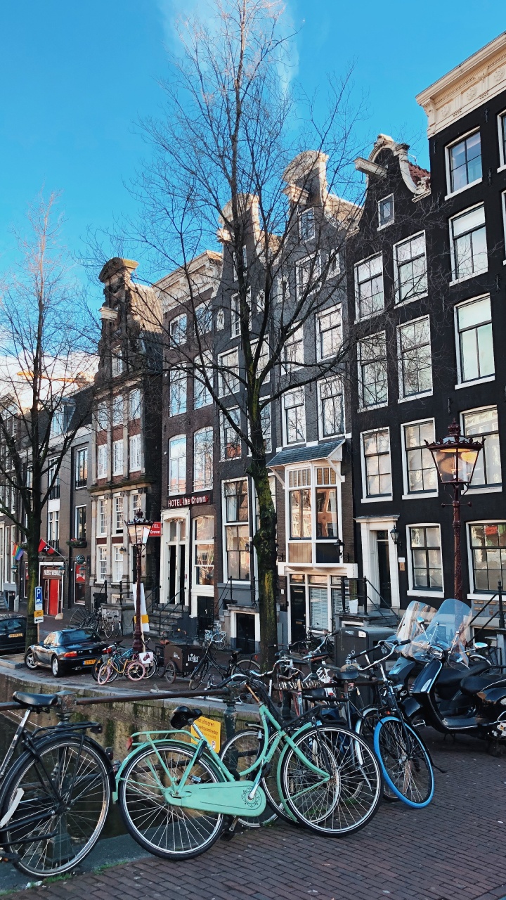 Обои дерево, велосипед, соседство, водный путь, городок в разрешении 720x1280