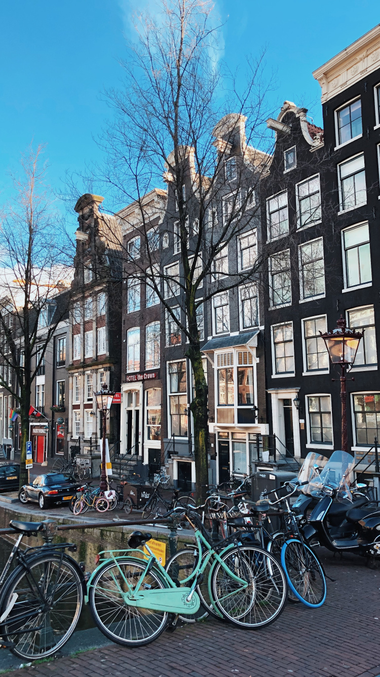 Обои дерево, велосипед, соседство, водный путь, городок в разрешении 750x1334