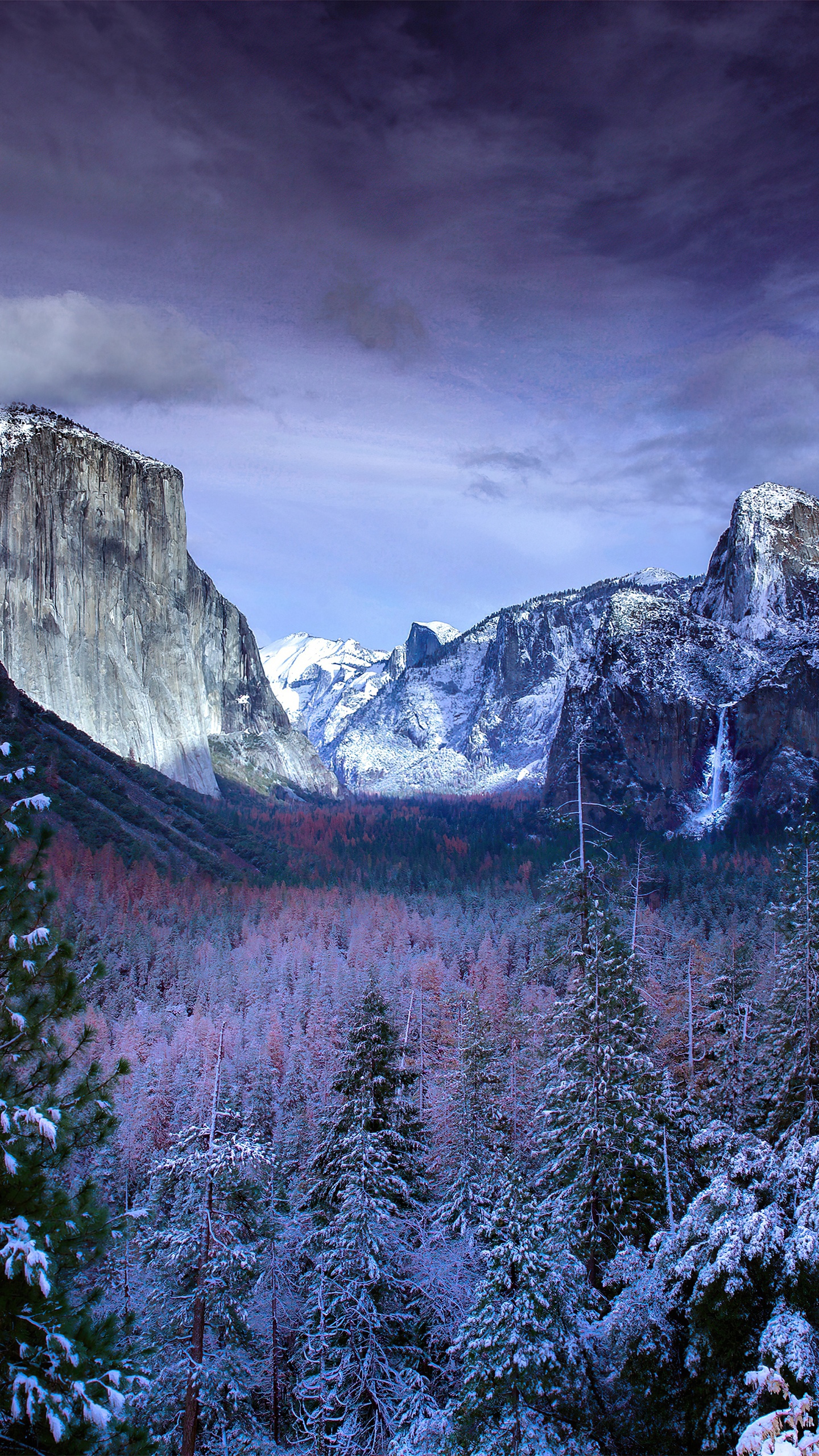 Обои йосемитский национальный парк, йосемити, туннель Вавона, национальный парк, парк в разрешении 1440x2560