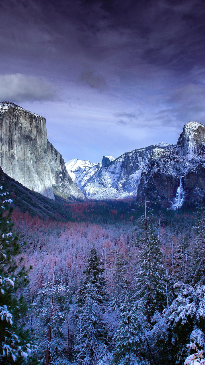 Обои йосемитский национальный парк, йосемити, туннель Вавона, национальный парк, парк в разрешении 720x1280