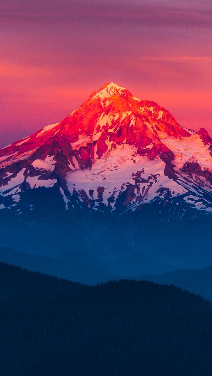 Обои Горная Лиственница, Маунтхуд, гора, стратовулкан, природа в разрешении 720x1280