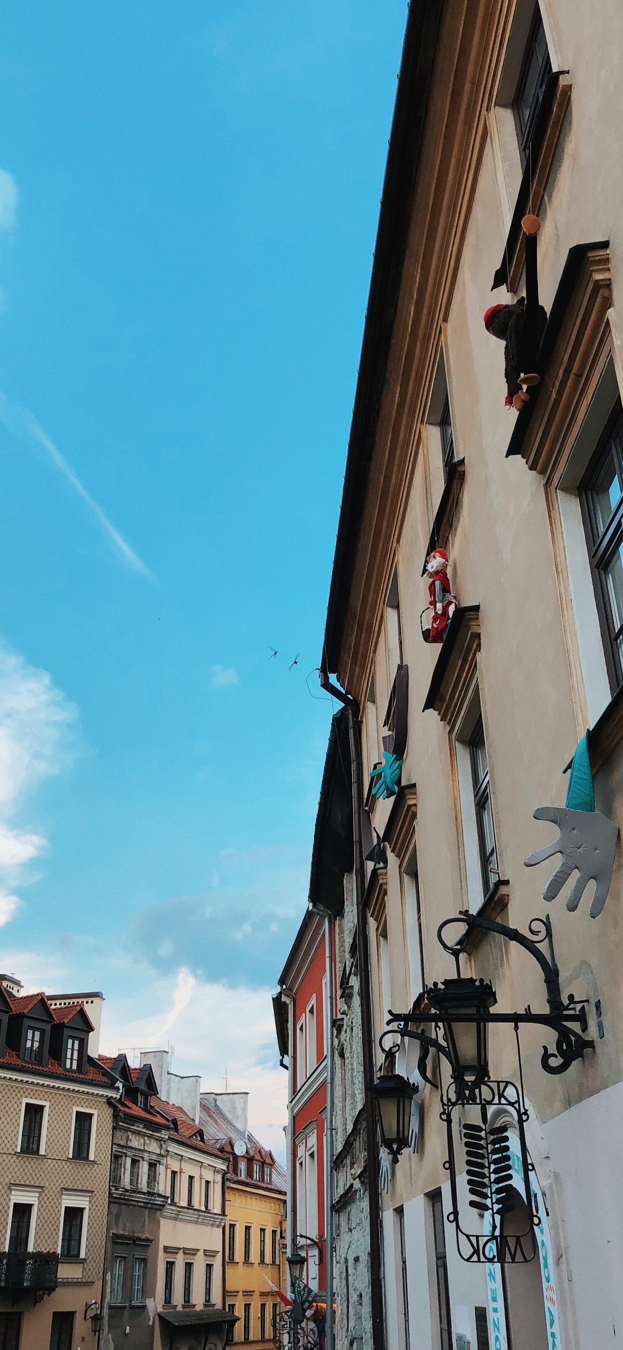 Обои окно, городок, соседство, улица, здание в разрешении 1242x2688