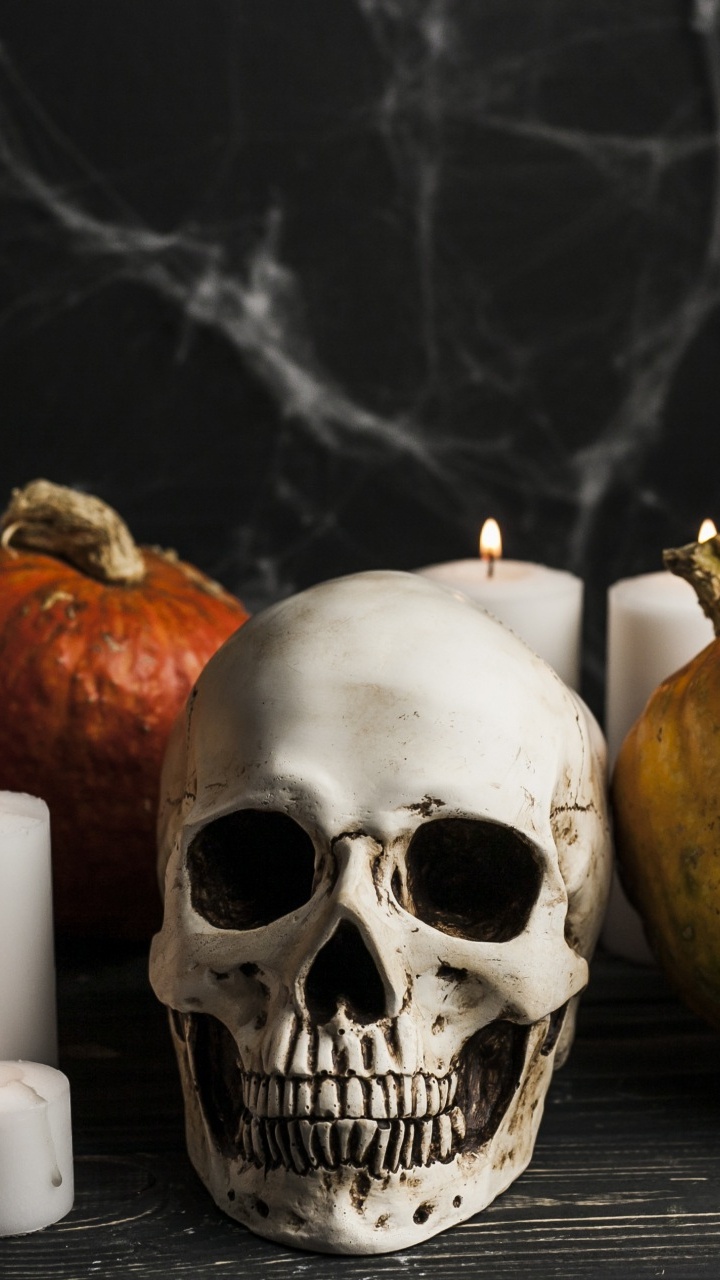 Обои праздник, тыква, калебас, натюрморт, овощ в разрешении 720x1280