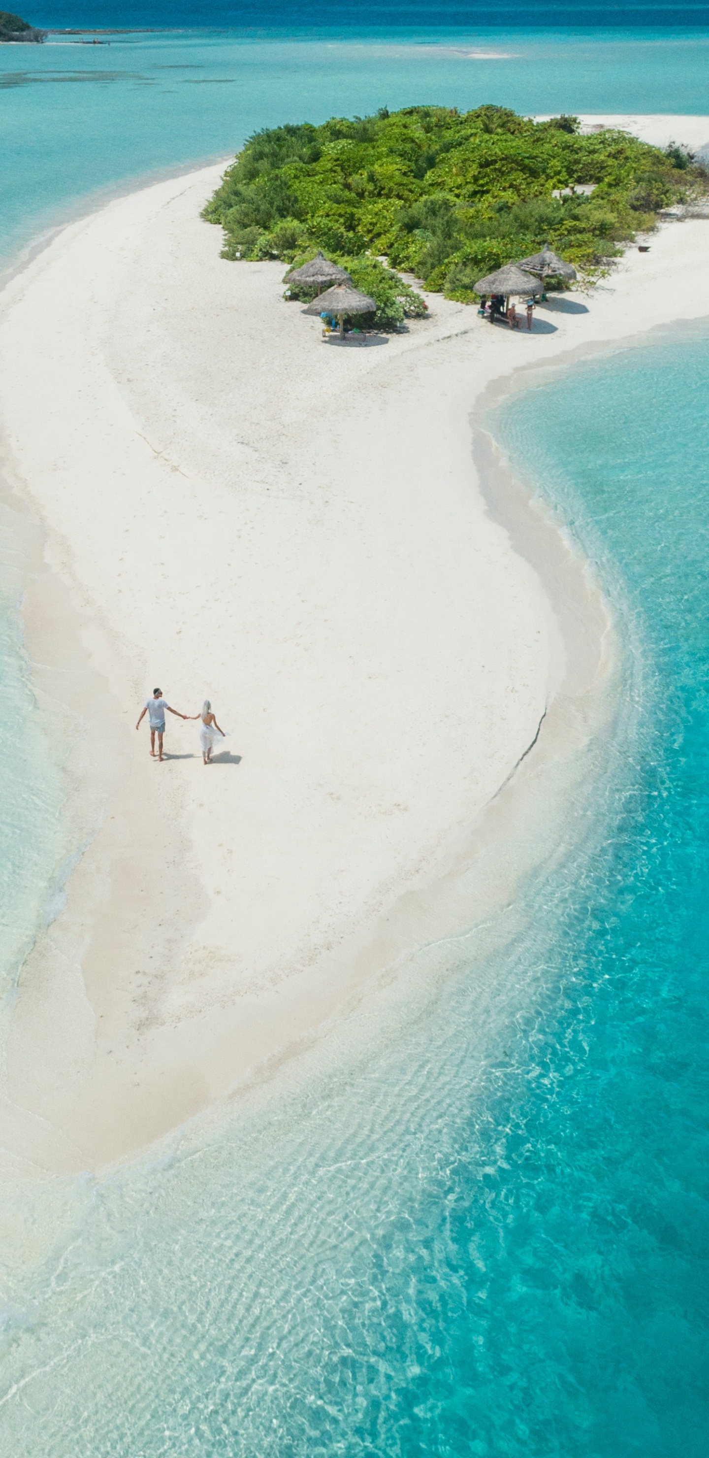 Обои Остров, пляж, Атолл, отпуск, прибрежные и океанические рельефы в разрешении 1440x2960