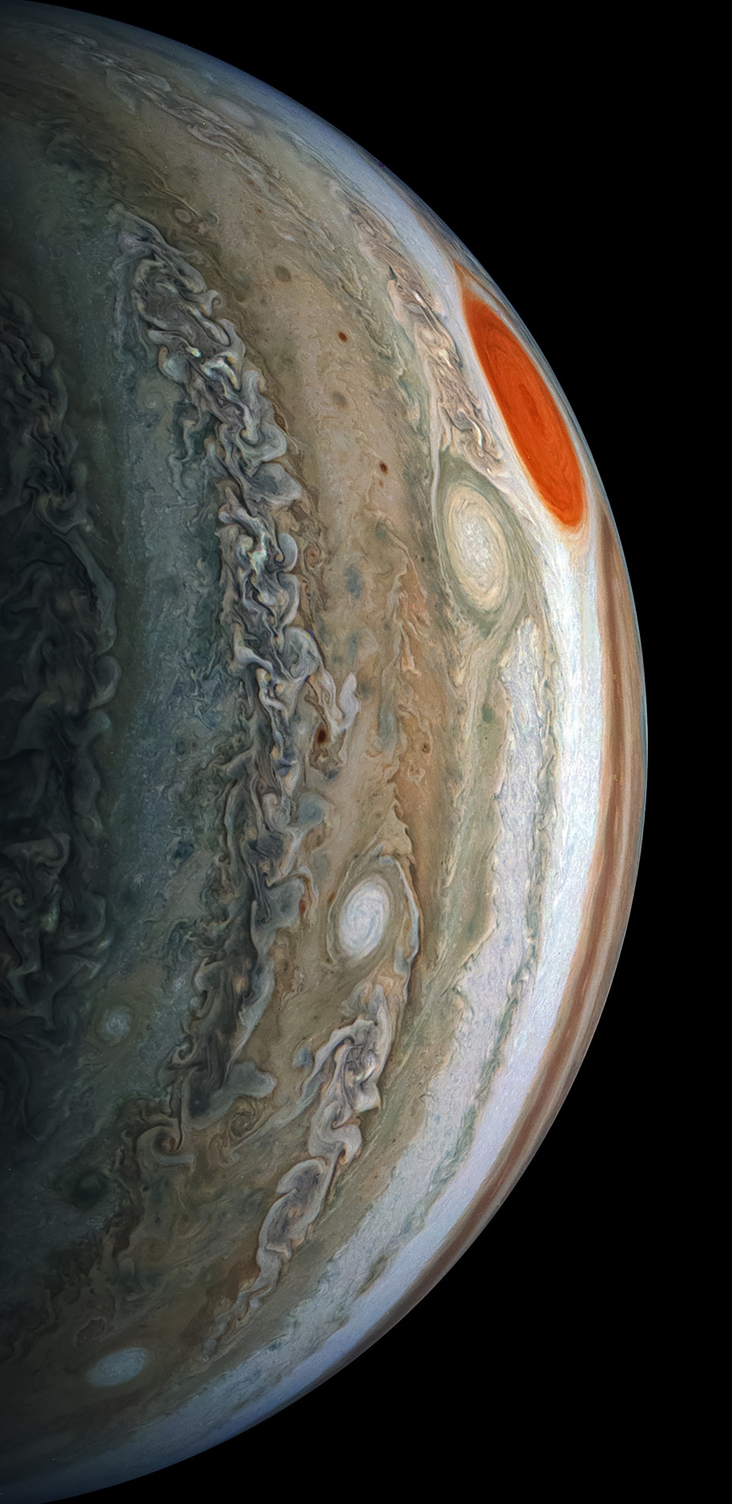 Обои атмосфера, земля, коричневый цвет, serveware, древесина в разрешении 1440x2960