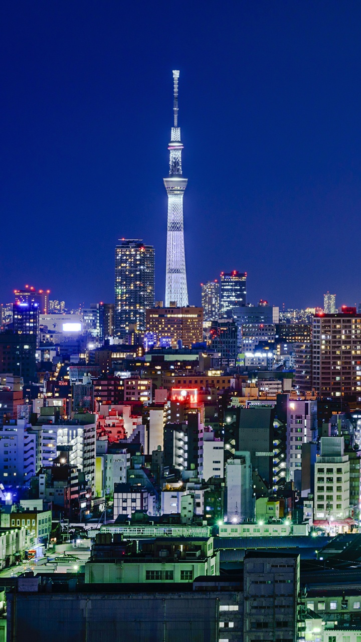 Обои токийская башня, городской пейзаж, город, городской район, метрополия в разрешении 720x1280