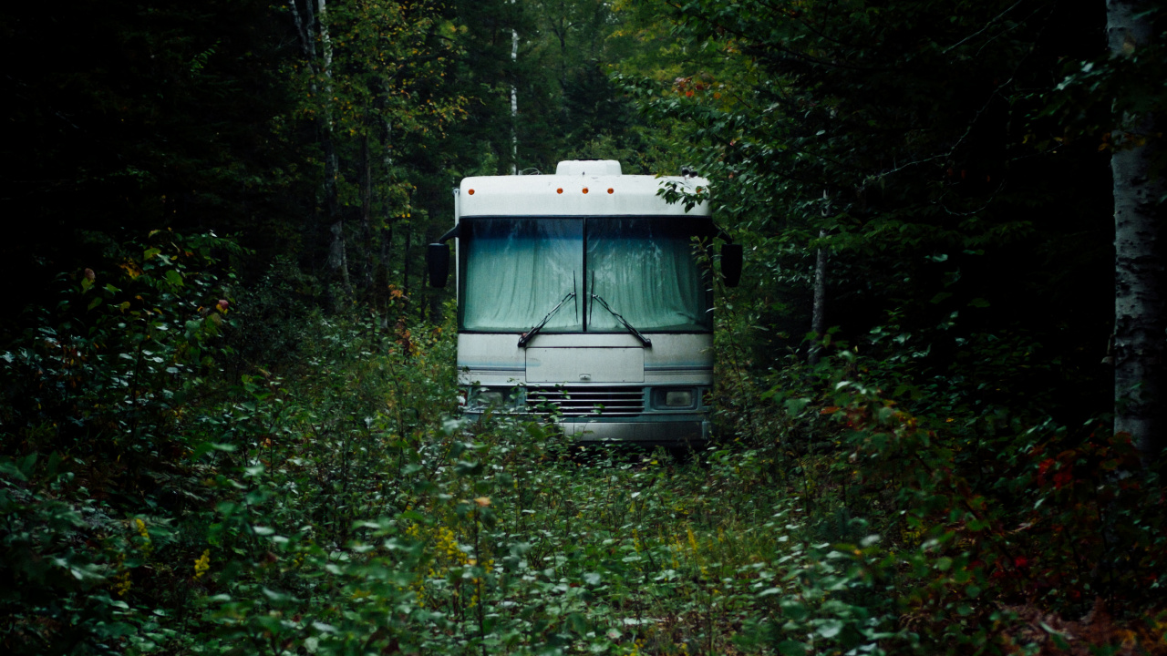 Обои зеленый, окружающая среда, растительность, лес, транспорт в разрешении 1280x720