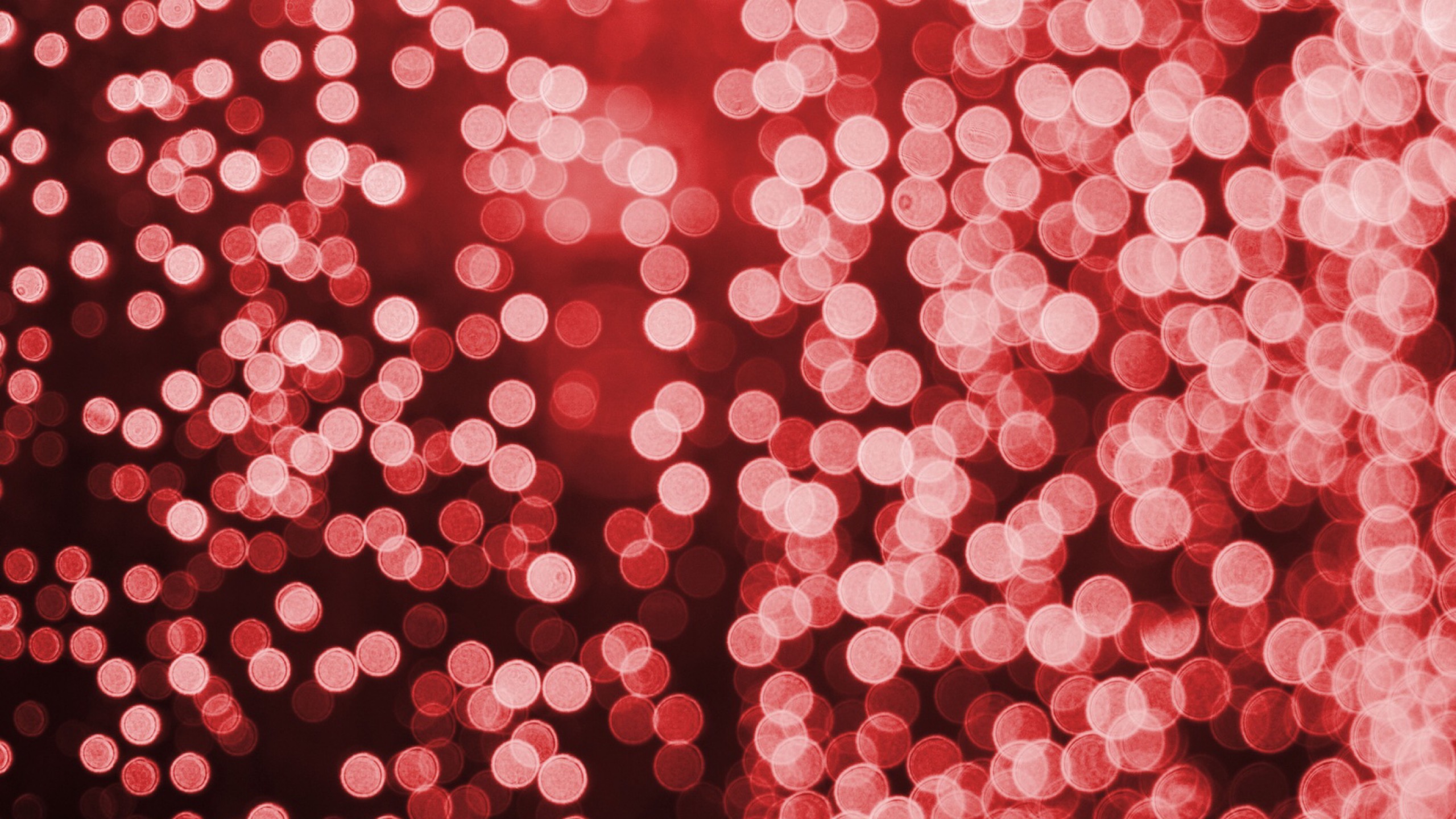 Обои боке, красный цвет, розовый, узор, лепесток в разрешении 2560x1440