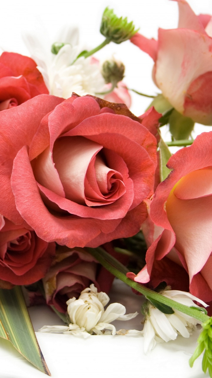 Обои Роза, цветочный букет, флористики, срезанные цветы, розовый в разрешении 720x1280