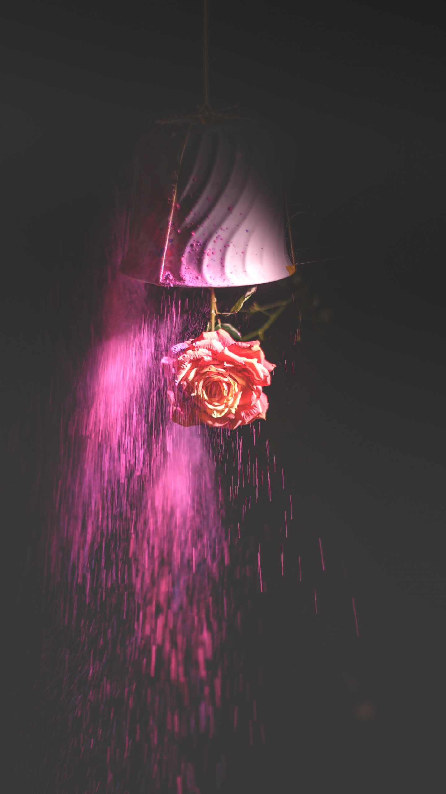 Обои свет, красный цвет, освещение, розовый, пурпур в разрешении 1440x2560