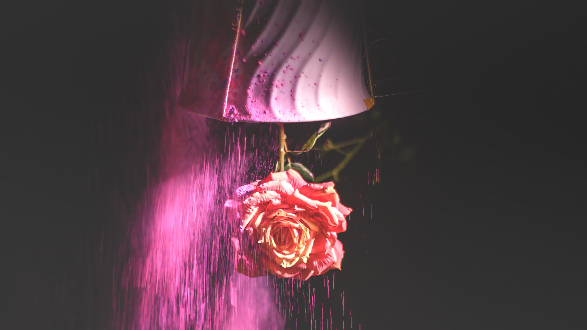 Обои свет, красный цвет, освещение, розовый, пурпур в разрешении 1920x1080