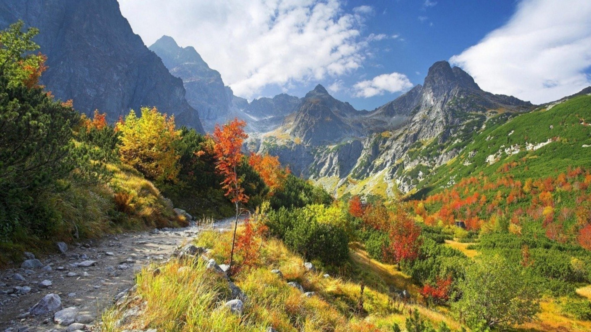 Обои горный рельеф, природа, гора, дикая местность, растительность в разрешении 1920x1080