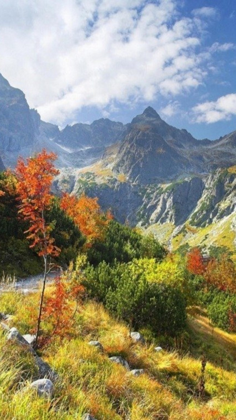 Обои горный рельеф, природа, гора, дикая местность, растительность в разрешении 750x1334