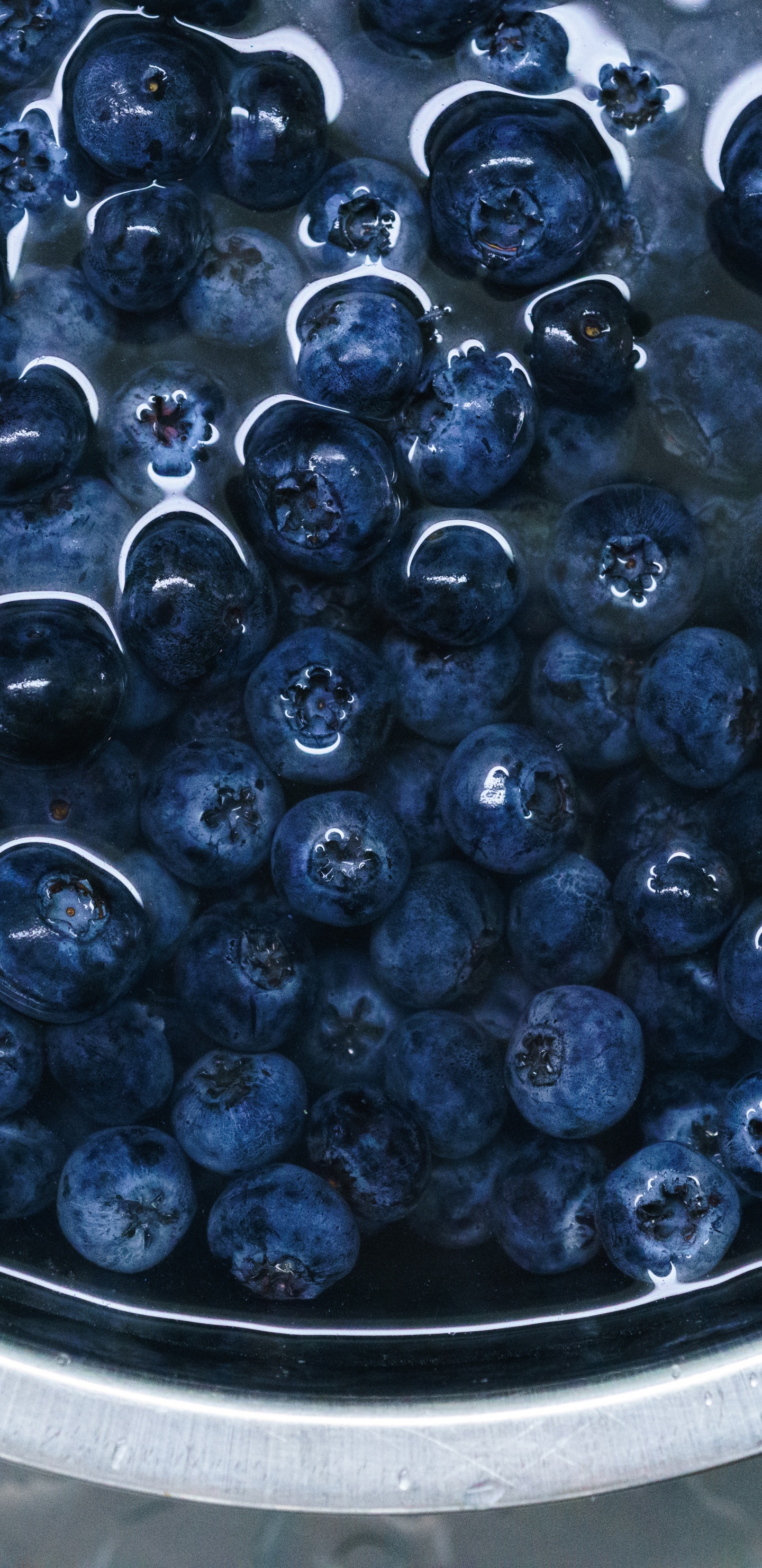 Обои фрукты, Черника, ягоды, пища, растение в разрешении 1440x2960