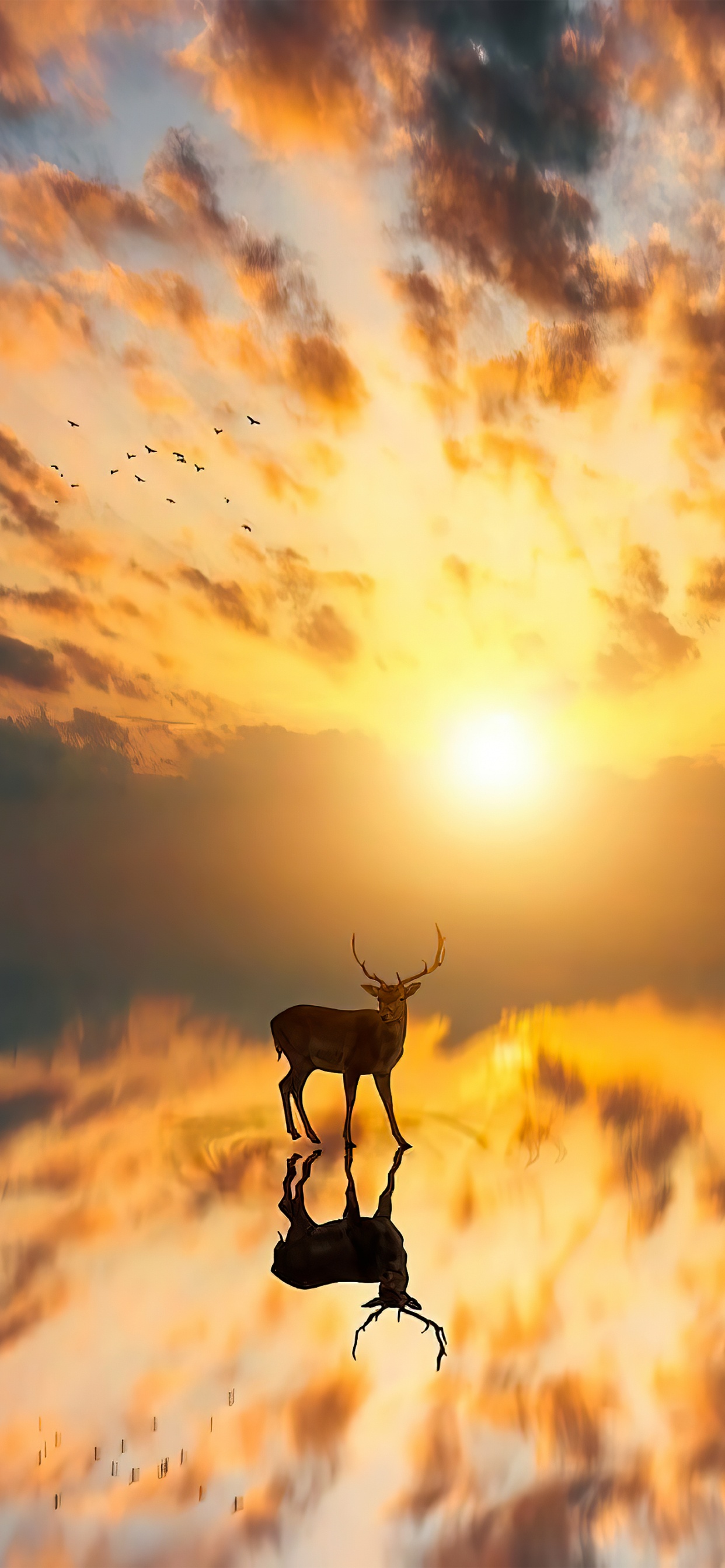 Обои облако, атмосфера, экорегион, свет, послесвечение в разрешении 1242x2688