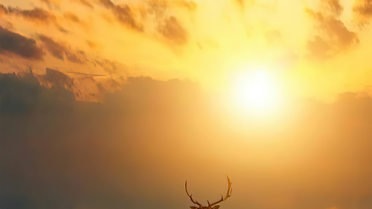 Обои облако, атмосфера, экорегион, свет, послесвечение в разрешении 1280x720