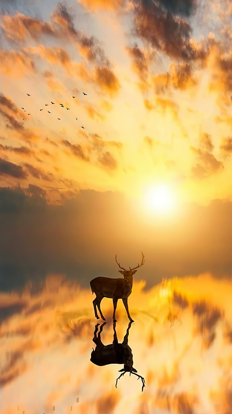 Обои облако, атмосфера, экорегион, свет, послесвечение в разрешении 750x1334