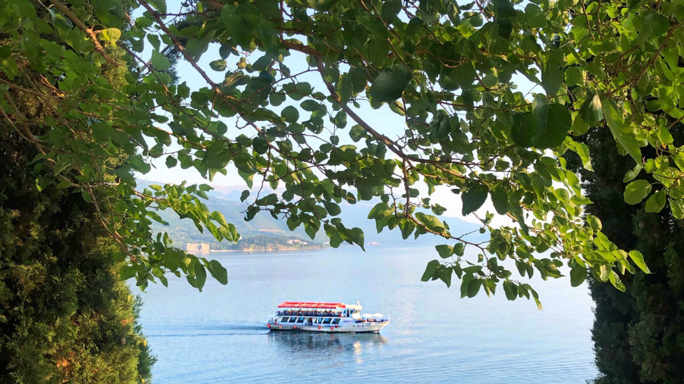 Обои вода, растительное сообщество, биология, наука, судно в разрешении 1366x768