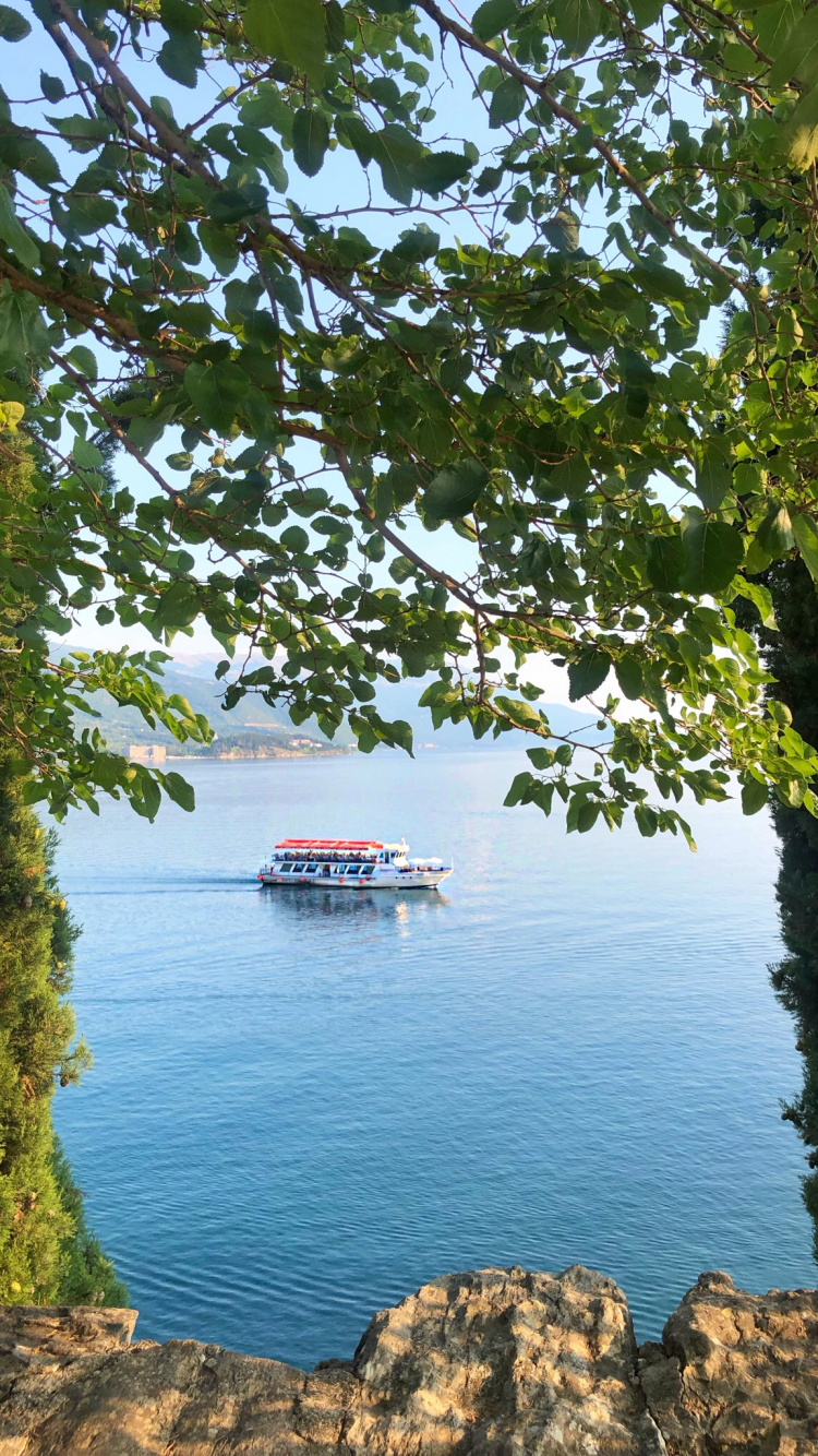 Обои вода, растительное сообщество, биология, наука, судно в разрешении 750x1334