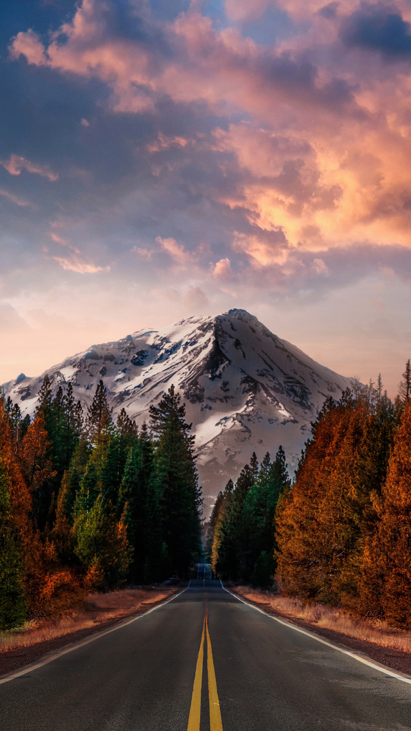 Обои облако, растение, гора, дневное время, экорегион в разрешении 1440x2560
