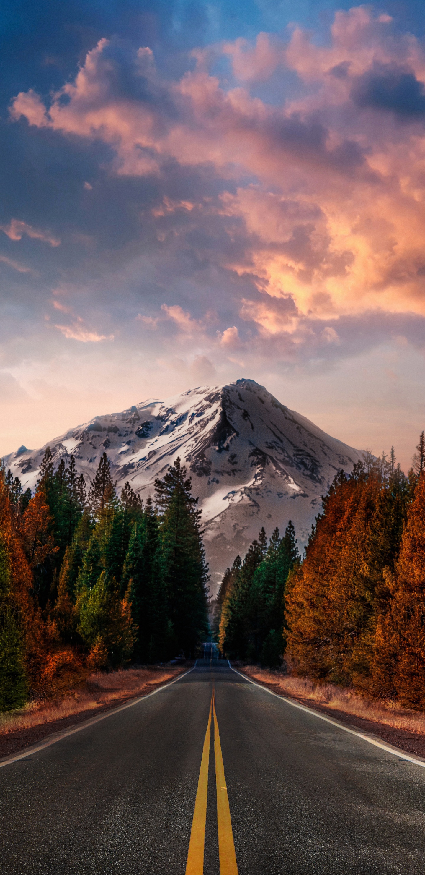 Обои облако, растение, гора, дневное время, экорегион в разрешении 1440x2960