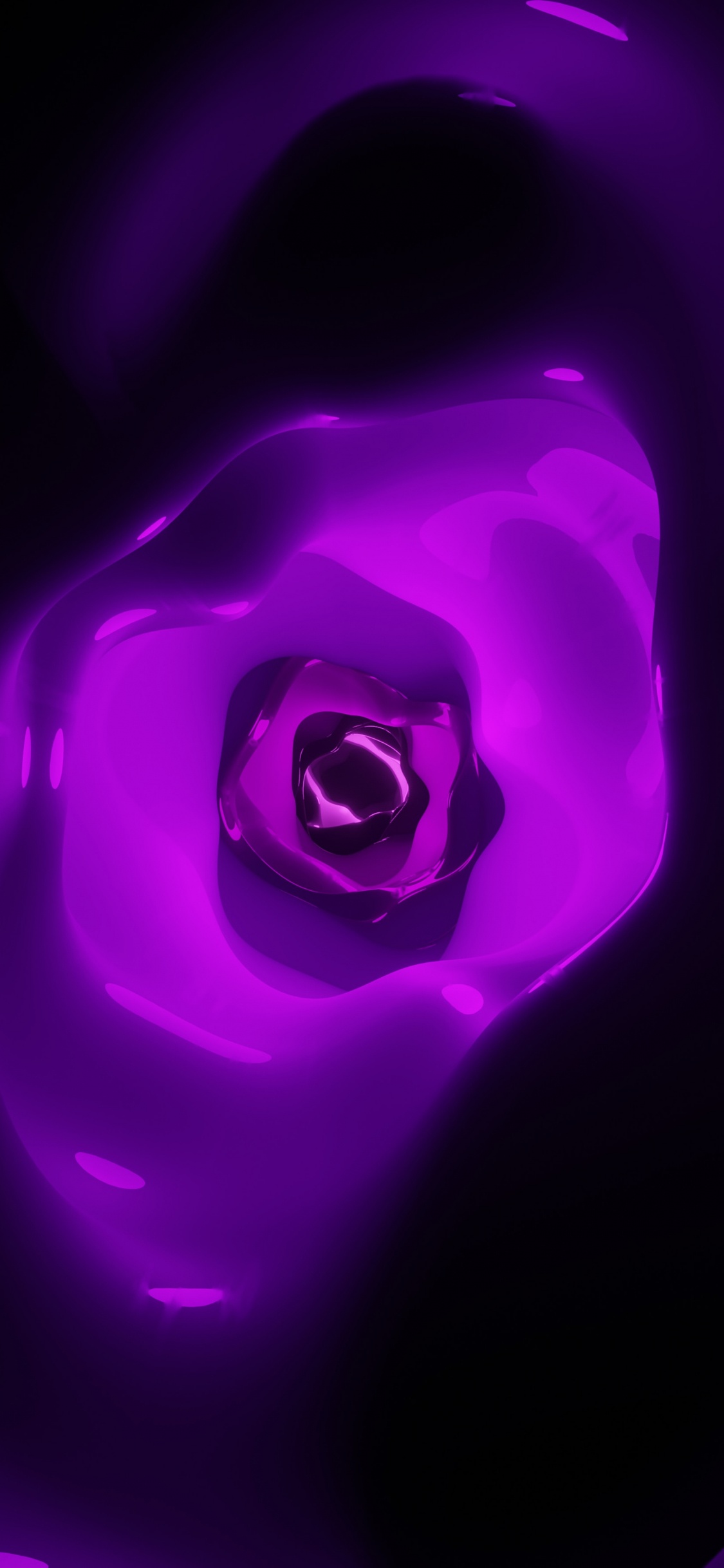 Обои Фиолетовый, пурпур, свет, розовый, лепесток в разрешении 1125x2436