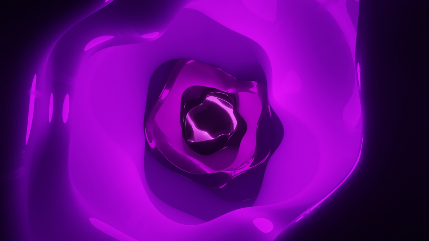 Обои Фиолетовый, пурпур, свет, розовый, лепесток в разрешении 1366x768