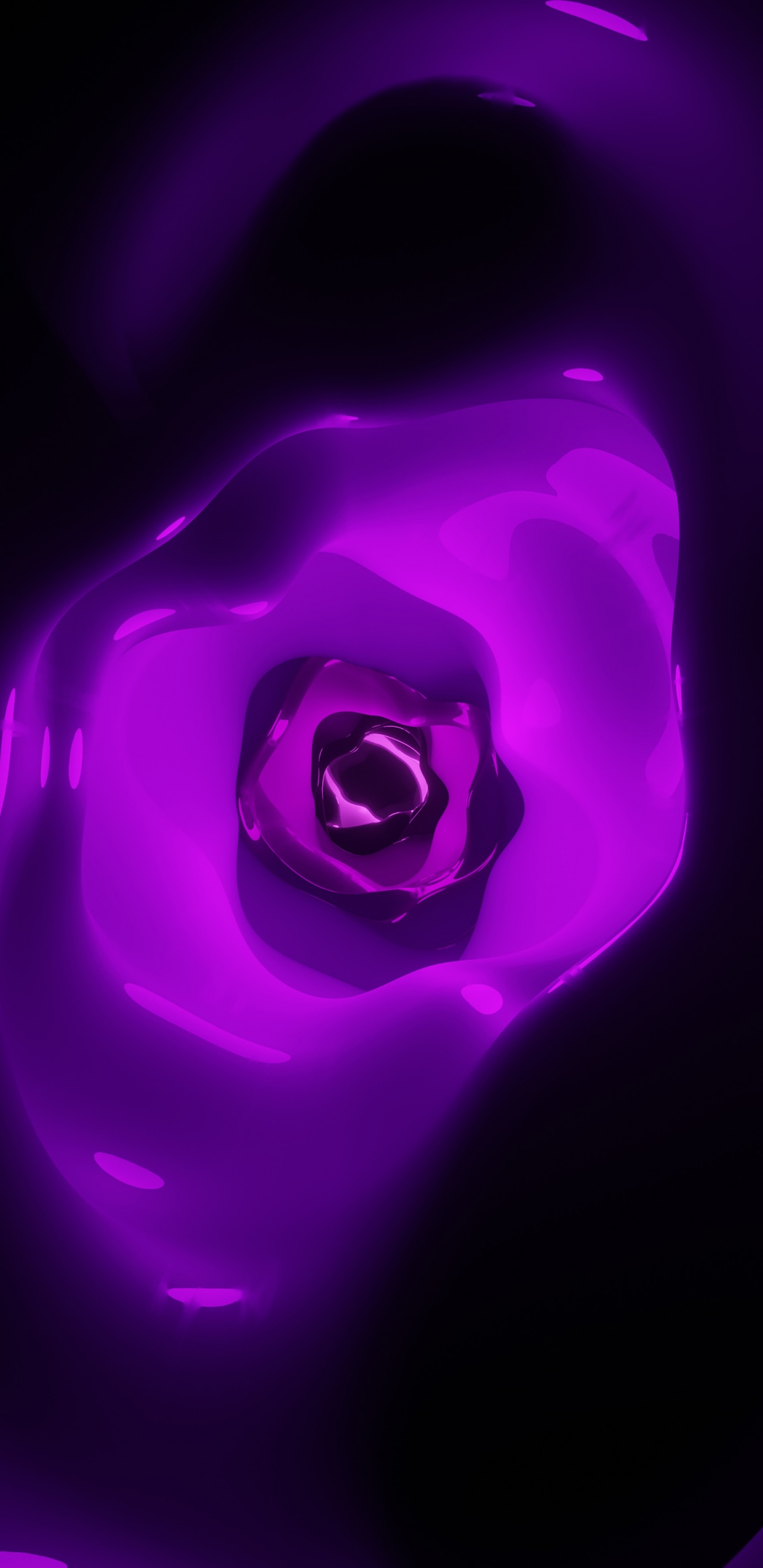 Обои Фиолетовый, пурпур, свет, розовый, лепесток в разрешении 1440x2960