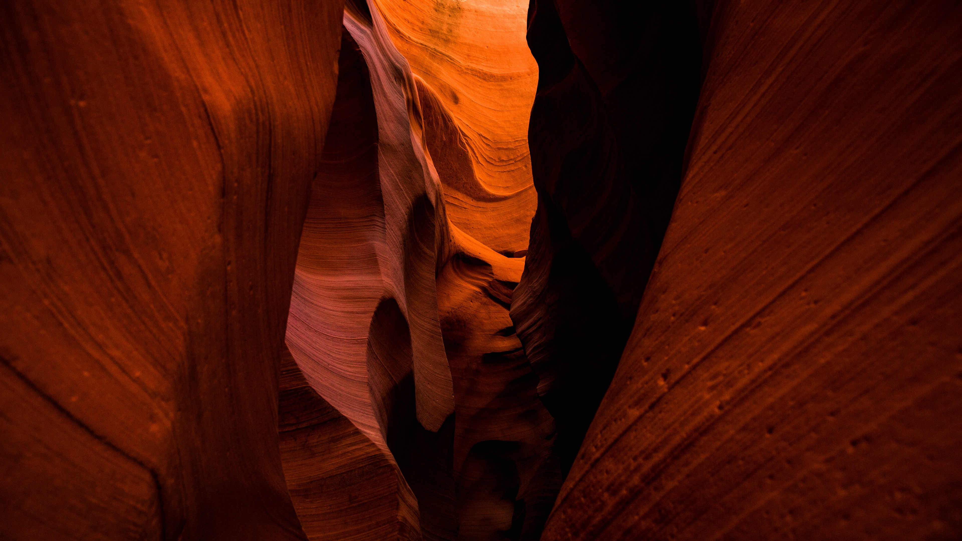 Обои каньон антилопы, каньон, древесина, твердая древесина, свет в разрешении 3840x2160