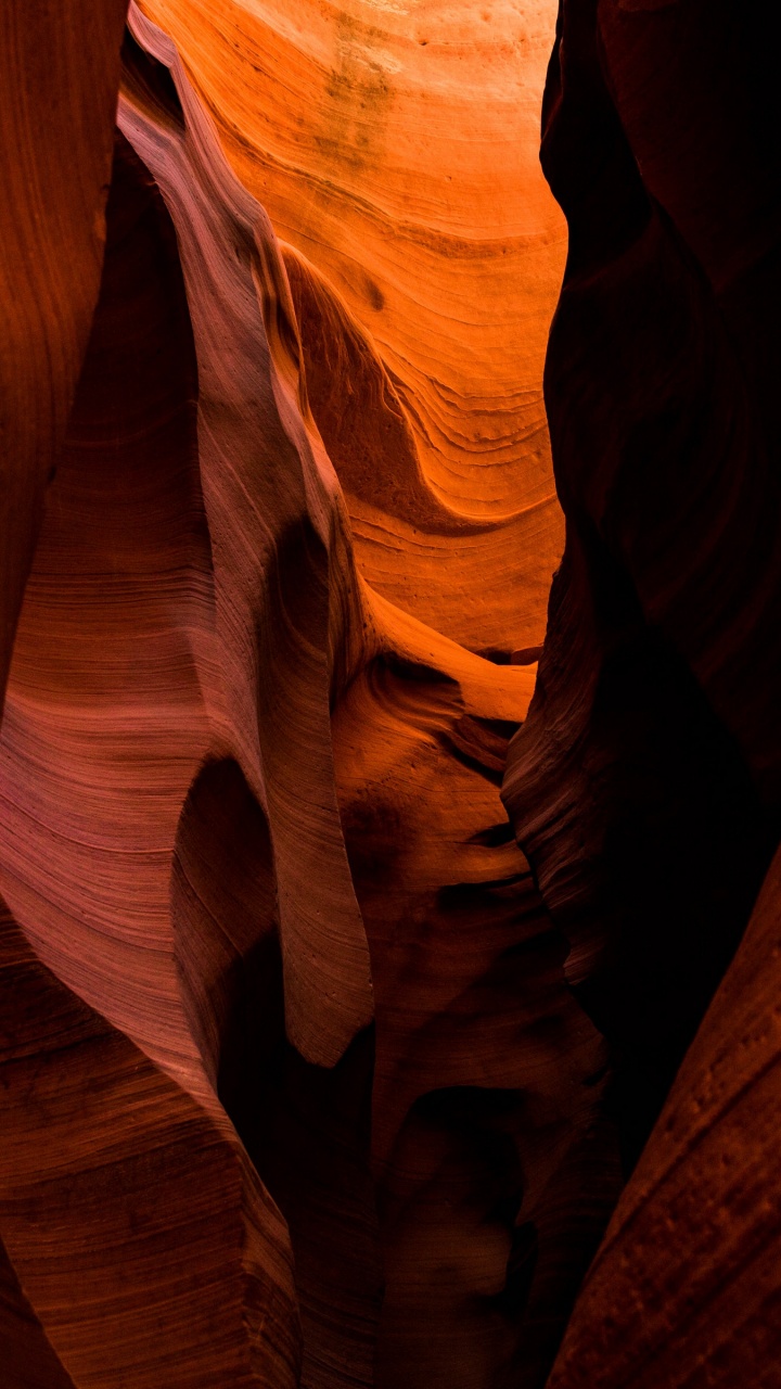 Обои каньон антилопы, каньон, древесина, твердая древесина, свет в разрешении 720x1280