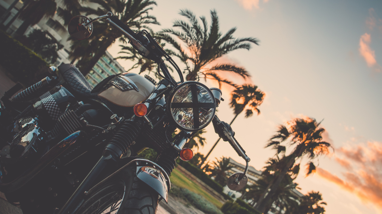 Обои мотоцикл, пальмовые рощи, велосипед, дерево, Пальма в разрешении 1280x720