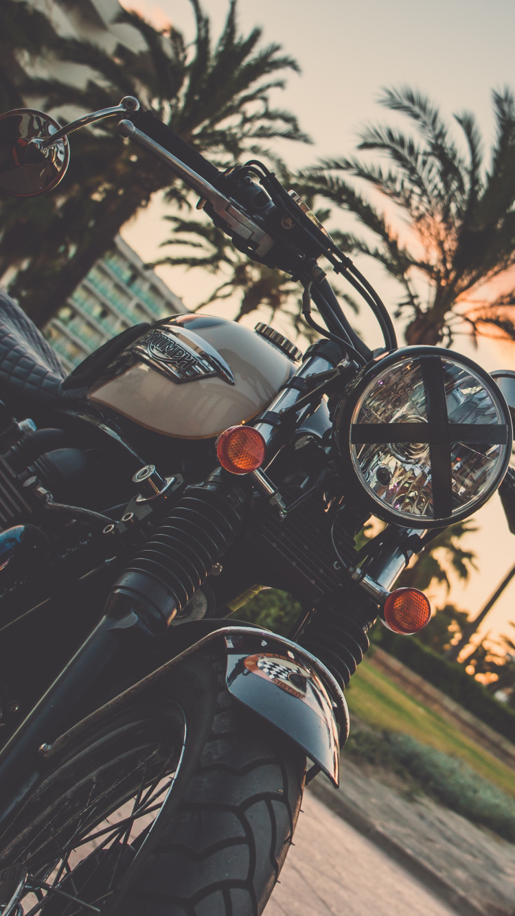 Обои мотоцикл, пальмовые рощи, велосипед, дерево, Пальма в разрешении 750x1334