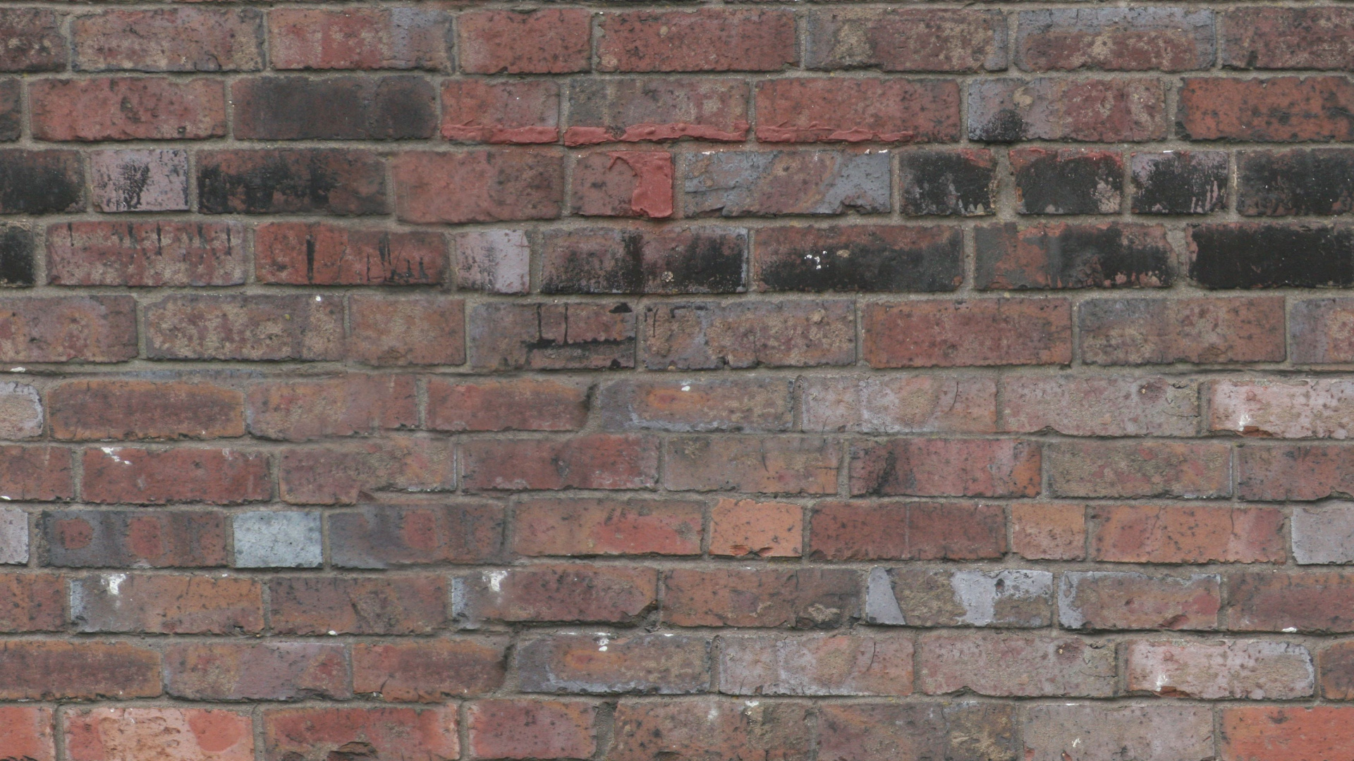 Обои кирпичная кладка, стена, кирпич, каменная стена, каменщик в разрешении 1920x1080