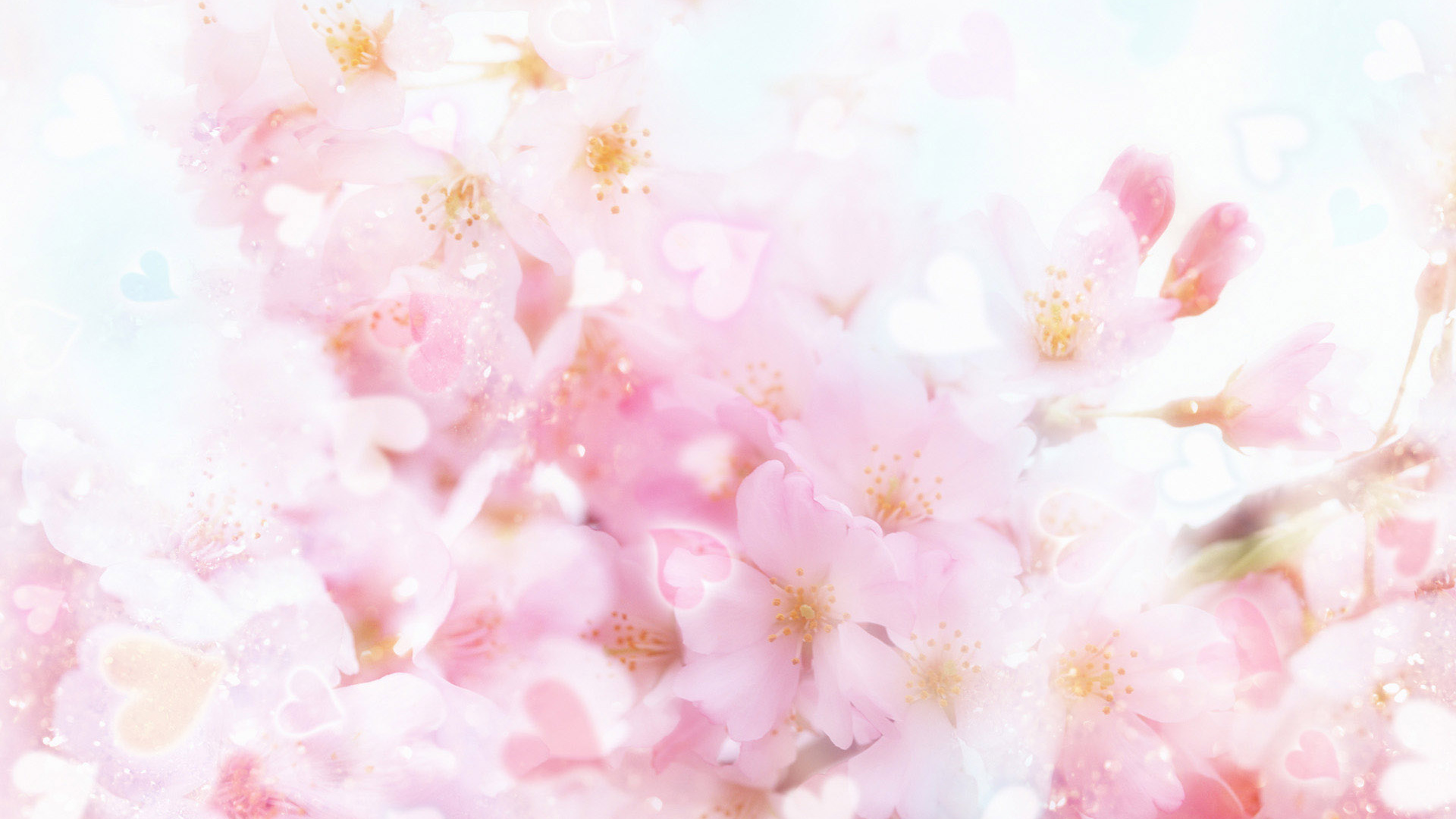 Обои цветок, розовый, лепесток, весна, расцвет в разрешении 1920x1080