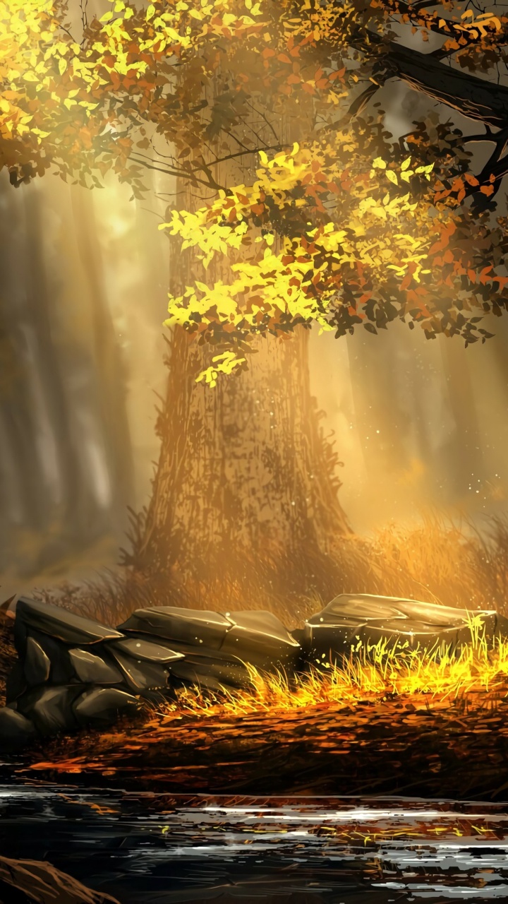 Обои Природа М, лесистая местность, арт, старовозрастные леса, солнечный свет в разрешении 720x1280