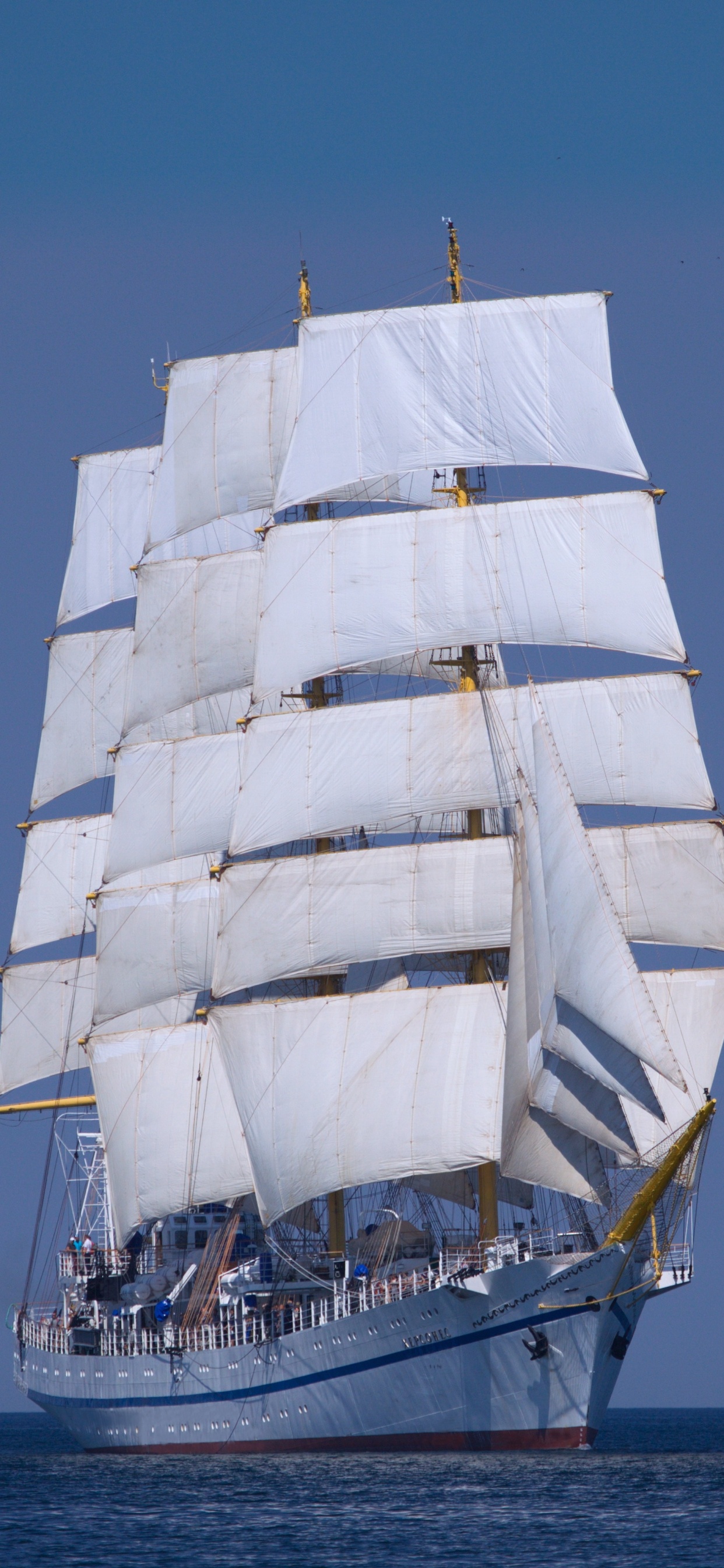 Обои Барка, шхуна, парусник, Херсонес, Бриг в разрешении 1242x2688