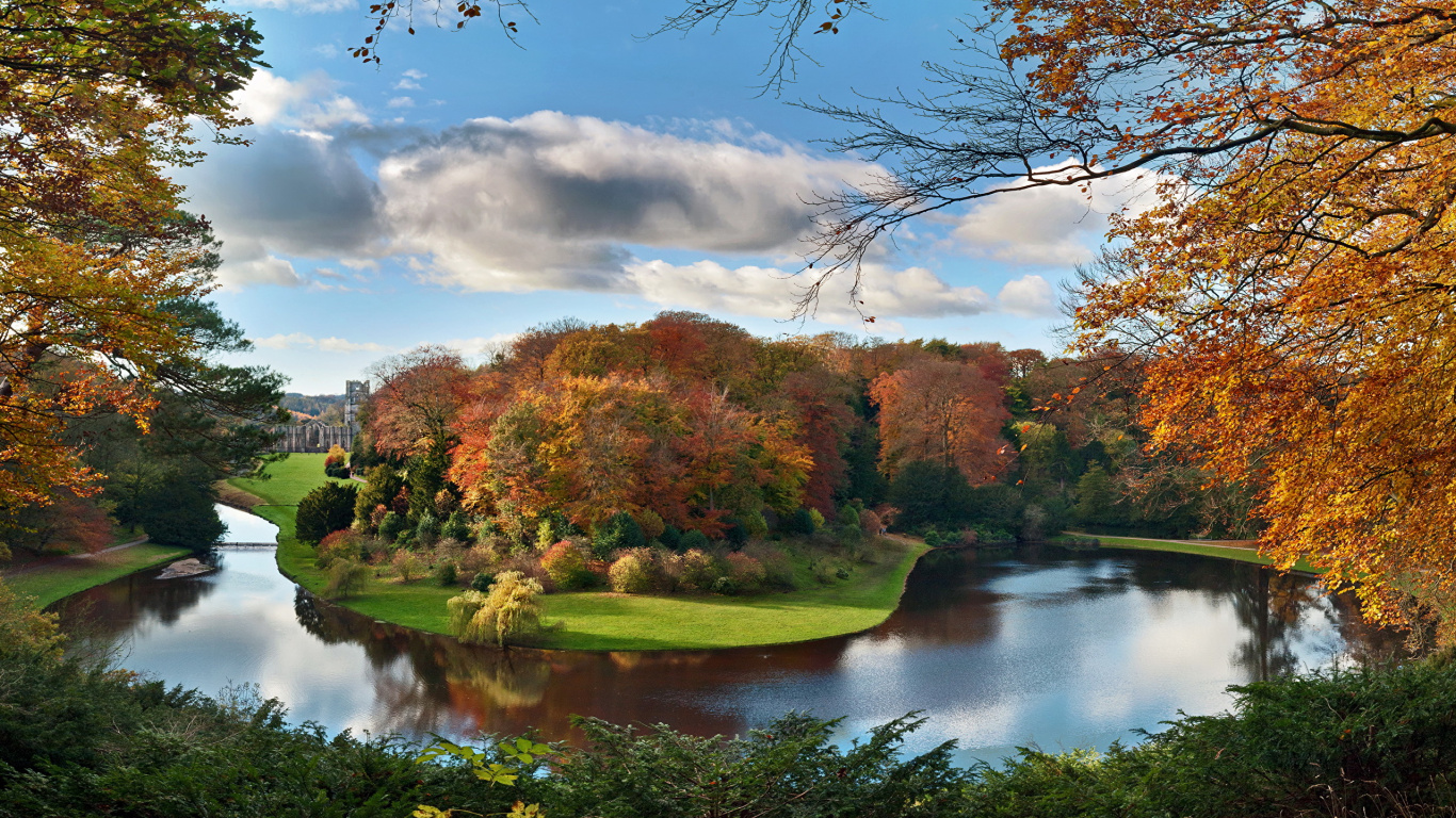 Обои природа, отражение, дерево, вода, лист в разрешении 1366x768