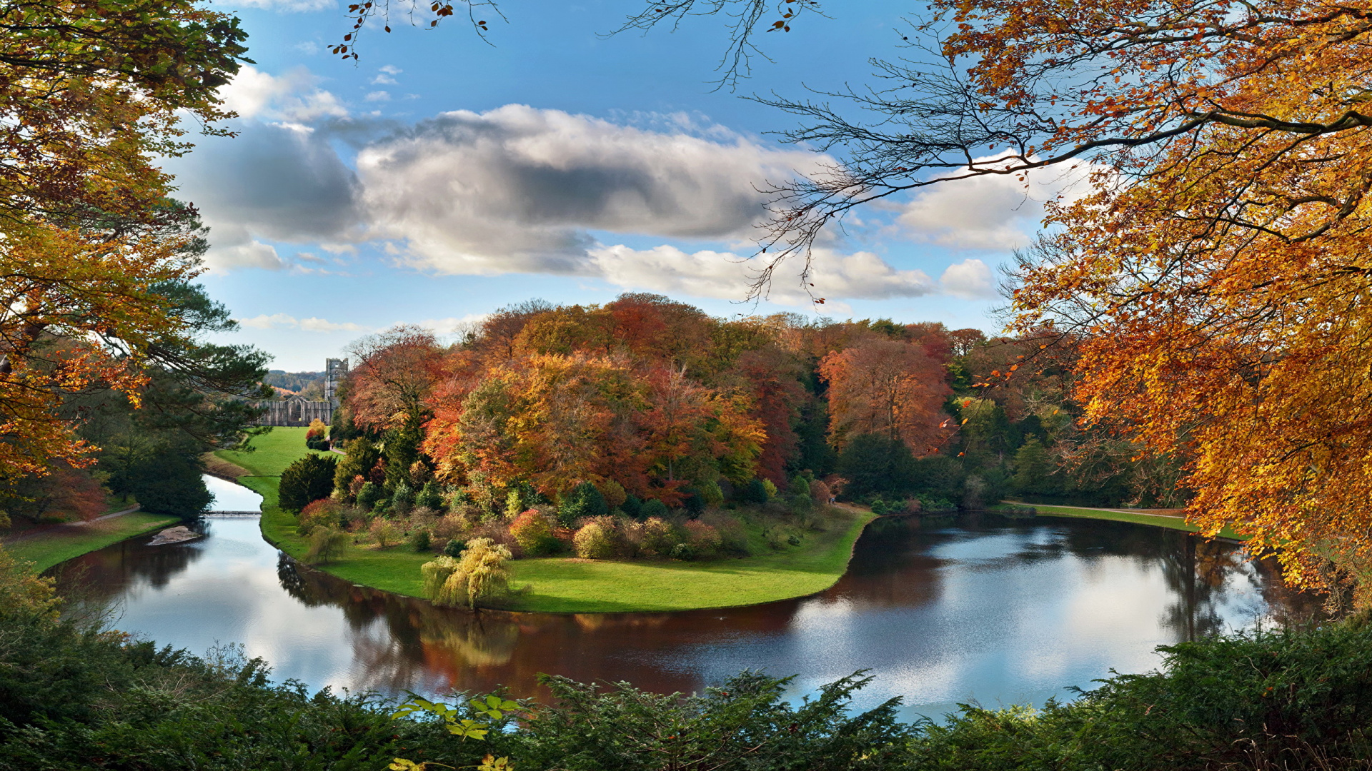 Обои природа, отражение, дерево, вода, лист в разрешении 1920x1080