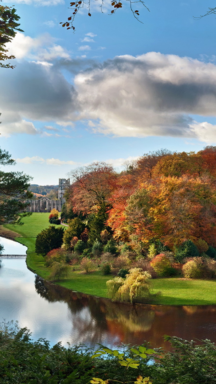 Обои природа, отражение, дерево, вода, лист в разрешении 750x1334