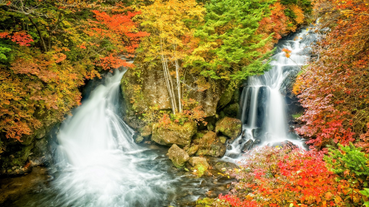 Обои Ryzu Падает, водопад, водоем, природа, растительность в разрешении 1280x720